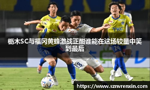zoty中欧