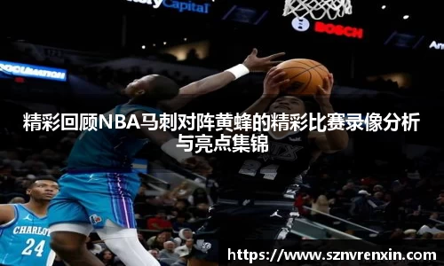 zoty中欧