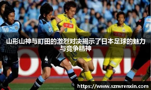 zoty中欧