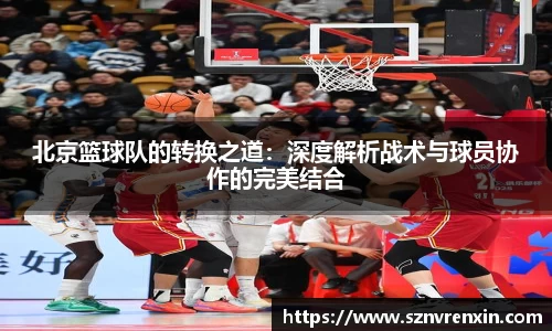 北京篮球队的转换之道：深度解析战术与球员协作的完美结合