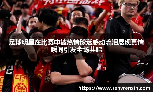 zoty中欧官方网站