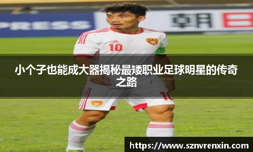 zoty中欧官方网站